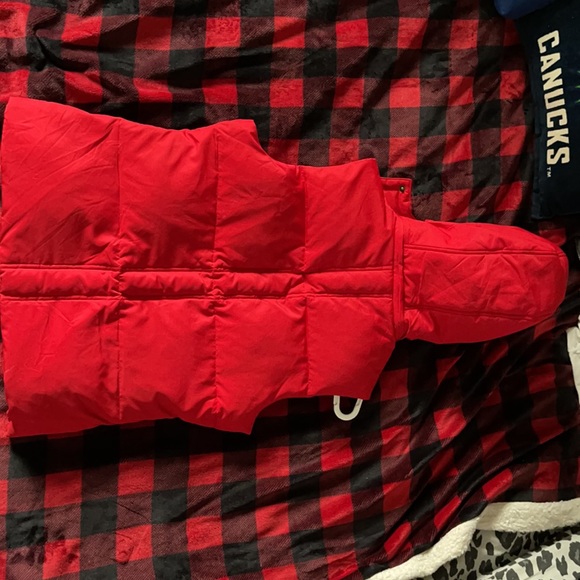 Red Vest - Picture 2 of 5